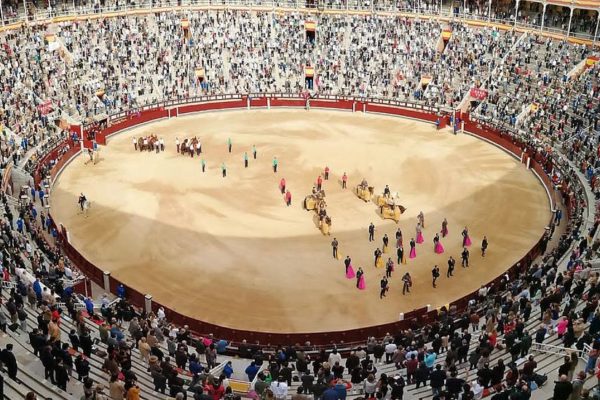 La Asociación El Toro pregunta por la continuidad de los festejos en Las Ventas