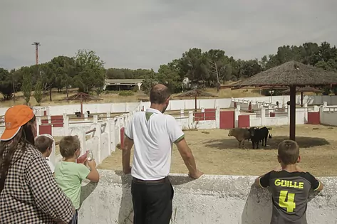 Los toros volvieron a la Venta del Batán: «Los ganaderos han puesto de su parte»